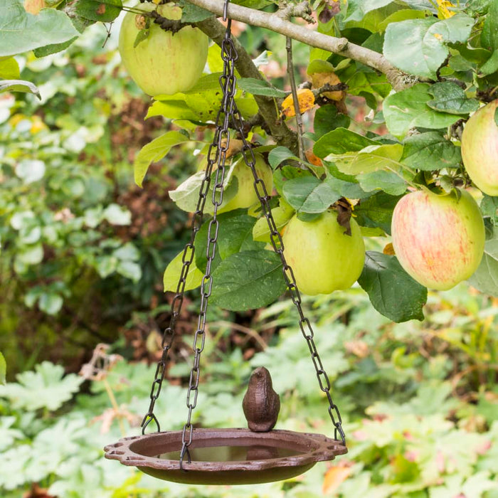 HI Hanging Bird Bath 20.5 cm Brown