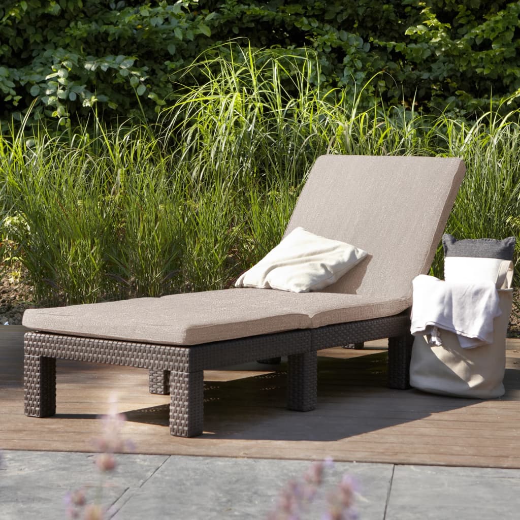 Keter Sunlounger with Cushion Daytona Brown