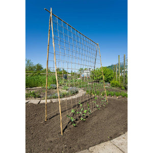 Nature Plant Climbing Netting Jute 1x3 m Natural