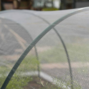 Nature Anti-insect Net 2x10 m Transparent