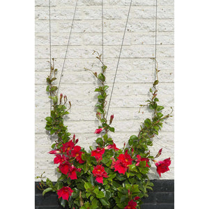 Nature Wire Trellis Set for Climbing Plants 6040760