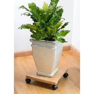 Nature Plant Trolley Square 30x30 cm Brown BPC