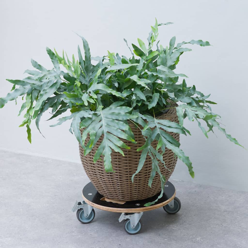 Nature Plant Trolley Round Ø38cm Black Wood