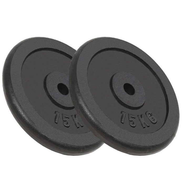 vidaXL Weight Plates 2 pcs 2x15 kg Cast Iron