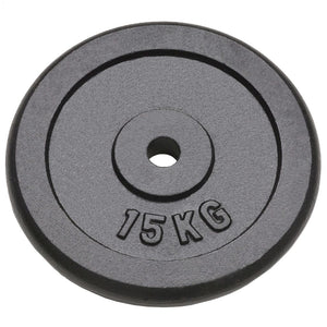 vidaXL Weight Plates 2 pcs 2x15 kg Cast Iron