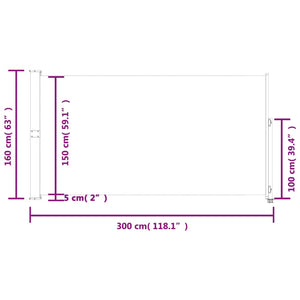 vidaXL Patio Retractable Side Awning 160 x 300 cm Grey