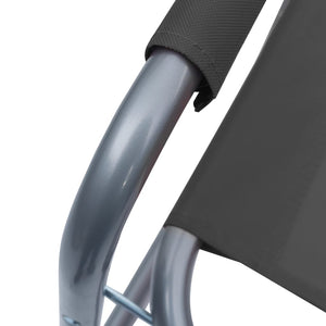 vidaXL Director's Chairs 2 pcs Steel Grey