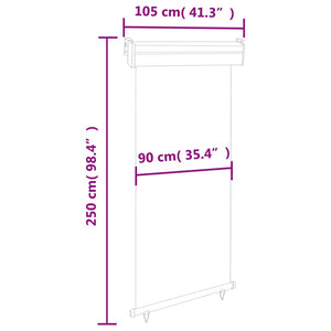 vidaXL Balcony Side Awning 105x250 cm Black