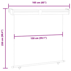 vidaXL Balcony Side Awning 165x250 cm Blue