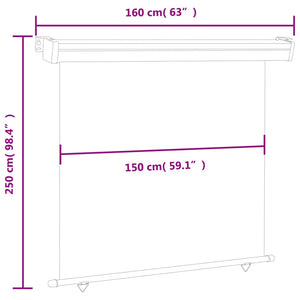 vidaXL Balcony Side Awning 165x250 cm Red