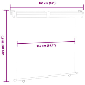 vidaXL Balcony Side Awning 165x250 cm Grey