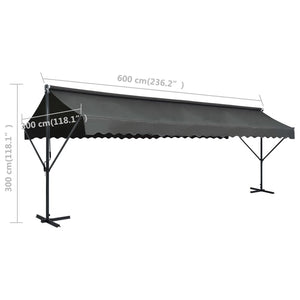 vidaXL Free Standing Awning 600x300 cm Anthracite