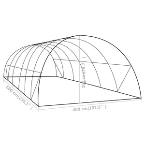 vidaXL Greenhouse 24 m² 6x4x2 m