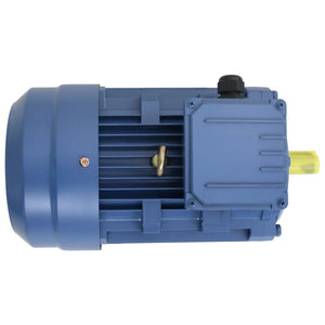 vidaXL 3 Phase Electric Motor Aluminium 3kW/4HP 2 Pole 2840 RPM