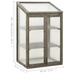 vidaXL Greenhouse 60x45x100 cm Firwood