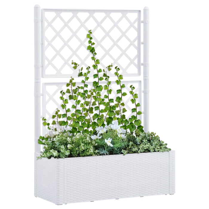 vidaXL Garden Raised Bed with Trellis and Self Watering System White