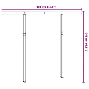 vidaXL Awning Post Set Anthracite 300x245 cm Iron