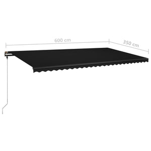 vidaXL Manual Retractable Awning with LED 600x350 cm Anthracite