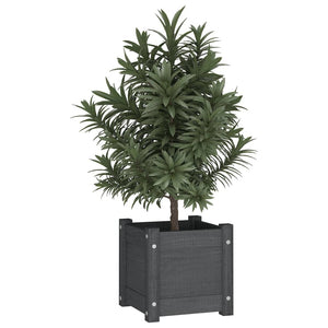 vidaXL Garden Planters 2 pcs Grey 31x31x31 cm Solid Pinewood