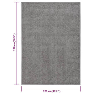 vidaXL Rug Short Pile 120x170 cm Grey