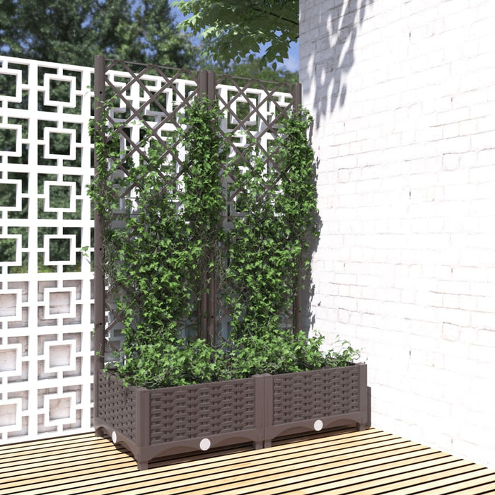 vidaXL Garden Planter with Trellis Brown 80x40x121.5 cm PP