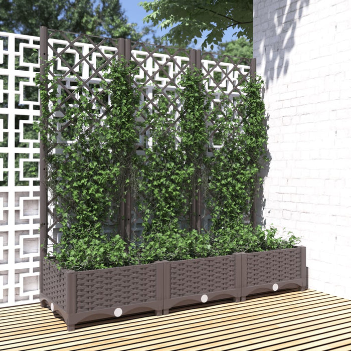 vidaXL Garden Planter with Trellis Brown 120x40x121.5 cm PP