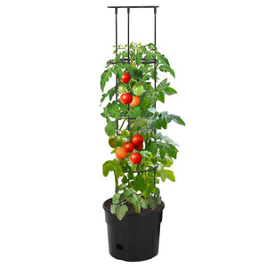 vidaXL Tomato Grower Anthracite Ø29.5x115 cm Polypropylene