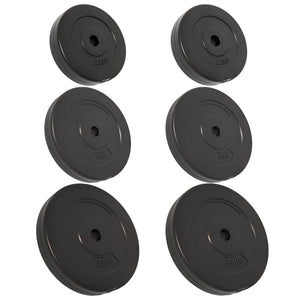 vidaXL Weight Plates 6 pcs 30 kg Cement