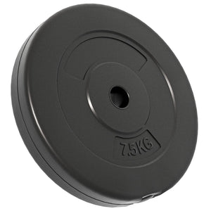 vidaXL Weight Plates 6 pcs 30 kg Cement