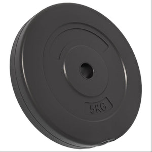 vidaXL Weight Plates 6 pcs 30 kg Cement