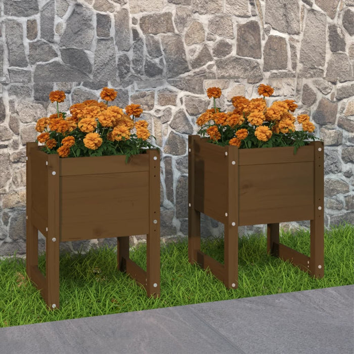 vidaXL Planters 2 pcs Honey Brown 40x40x52.5 cm Solid Wood Pine