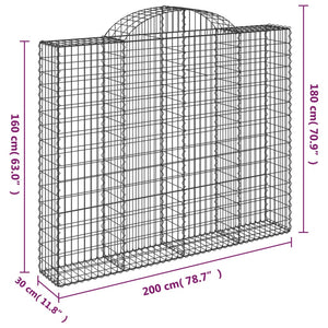 vidaXL Arched Gabion Baskets 2 pcs 200x30x160/180 cm Galvanised Iron