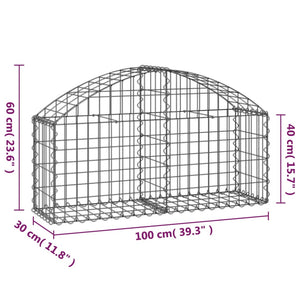 vidaXL Arched Gabion Basket 100x30x40/60 cm Galvanised Iron