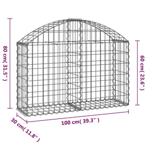 vidaXL Arched Gabion Basket 100x30x60/80 cm Galvanised Iron