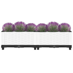 vidaXL Raised Bed 80x40x23 cm Polypropylene