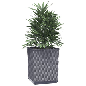 vidaXL Planters 4 pcs Dark Grey 30x30x37 cm Polypropylene