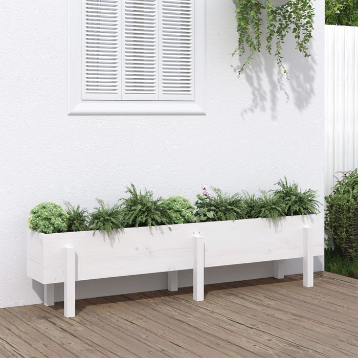 vidaXL Garden Raised Bed White 160x30x38 cm Solid Wood Pine