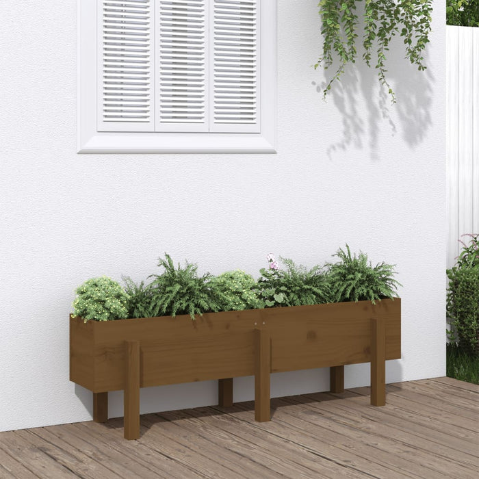 vidaXL Garden Raised Bed Honey Brown 121x30x38 cm Solid Wood Pine