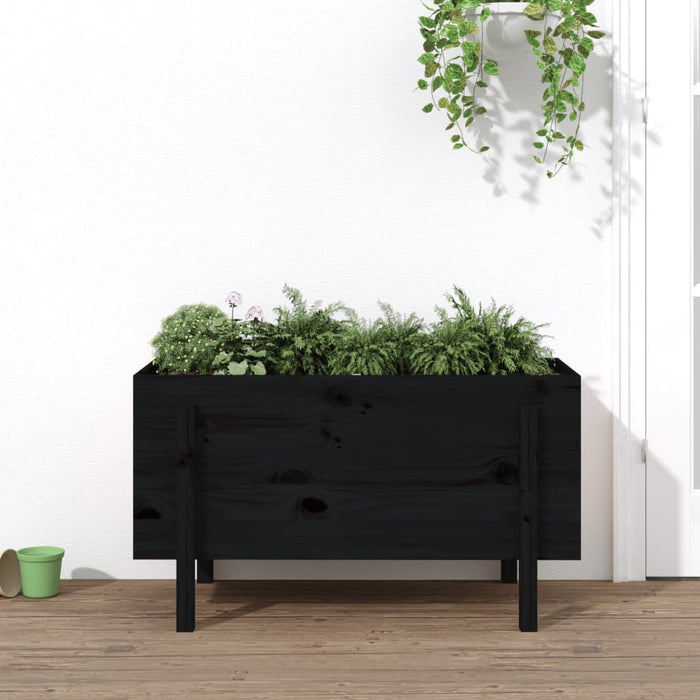 vidaXL Garden Raised Bed Black 101x50x57 cm Solid Wood Pine