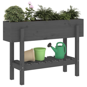 vidaXL Garden Raised Bed Grey 101x30x69 cm Solid Wood Pine