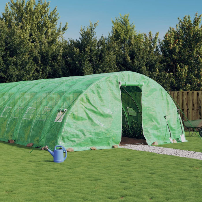 vidaXL Greenhouse with Steel Frame Green 30 m² 6x5x2.3 m