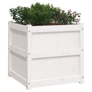 vidaXL Garden Planters 2 pcs White Solid Wood Pine