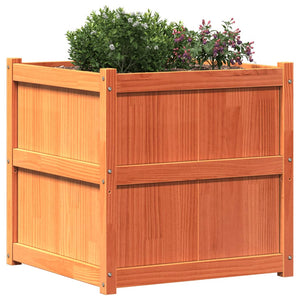 vidaXL Garden Planter Wax Brown 70x70x70 cm Solid Wood Pine