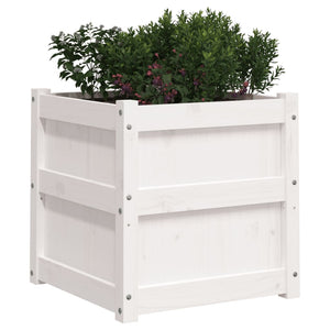 vidaXL Garden Planters 2 pcs White Solid Wood Pine