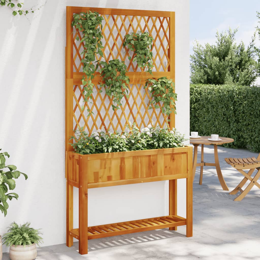 vidaXL Planter with Trellis and Shelf 100x32x185 cm Solid Wood Acacia