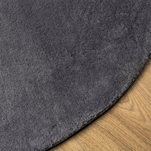 vidaXL Rug HUARTE Short Pile Soft and Washable Anthracite Ø 160 cm