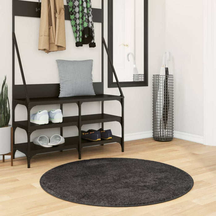 vidaXL Shaggy Rug PAMPLONA High Pile Modern Anthracite Ø 100 cm