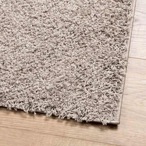 vidaXL Shaggy Rug PAMPLONA High Pile Modern Beige 120x120 cm