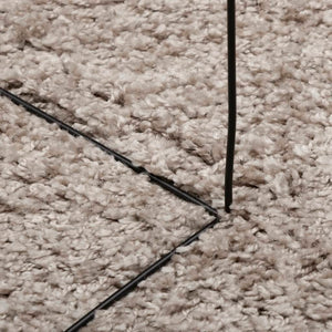 vidaXL Shaggy Rug PAMPLONA High Pile Modern Beige 120x120 cm