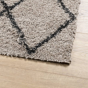 vidaXL Shaggy Rug PAMPLONA High Pile Modern Beige and Anthracite 60x110 cm